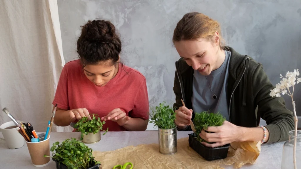 Yeni Başlayanlar İçin Bitki Bakım Rehberi