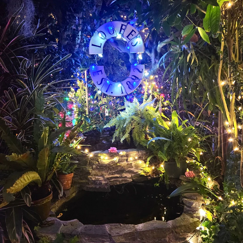 Çiçek Her Yerde ışık etkinliği